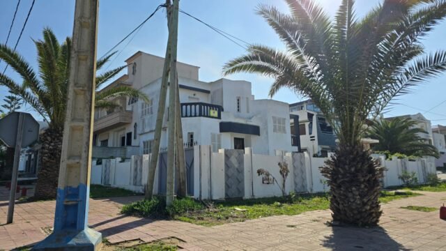 WhatsApp Image 2025-01-09 at 13.59.50