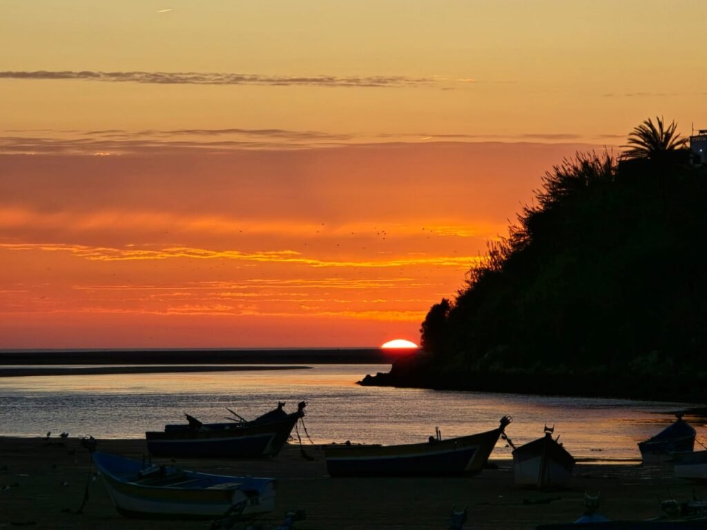 WhatsApp Image 2025-01-19 at 13.35.26