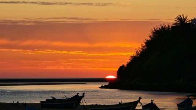 WhatsApp Image 2025-01-19 at 13.35.26