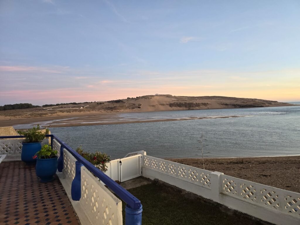 WhatsApp Image 2025-01-20 at 13.21.18