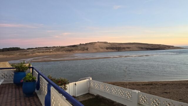 WhatsApp Image 2025-01-20 at 13.21.18