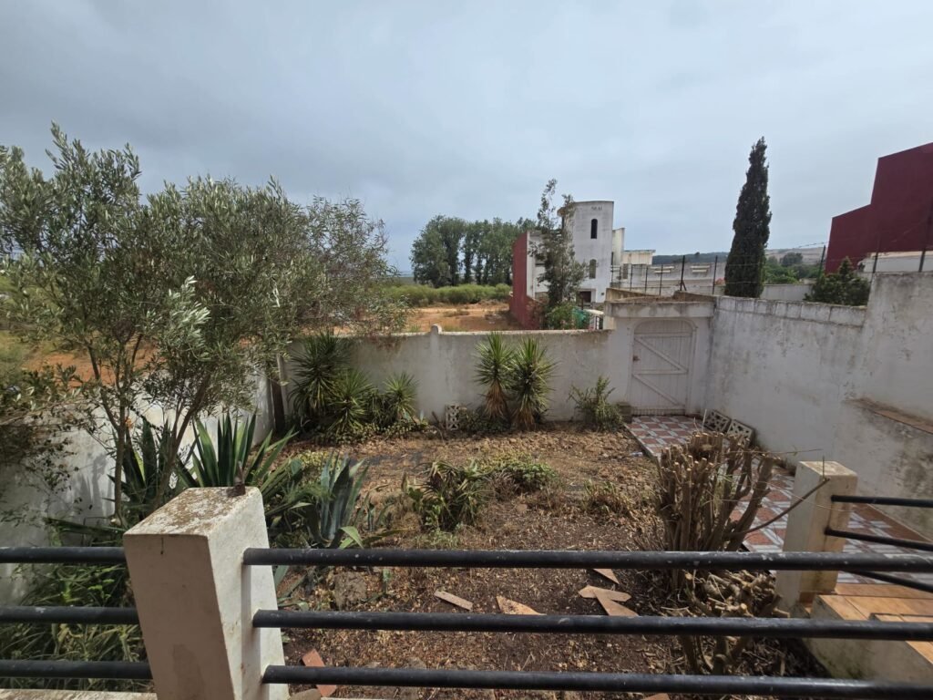 WhatsApp Image 2025-09-22 at 00.18.07 (1)