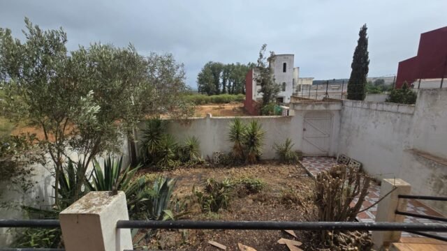 WhatsApp Image 2025-09-22 at 00.18.07 (1)