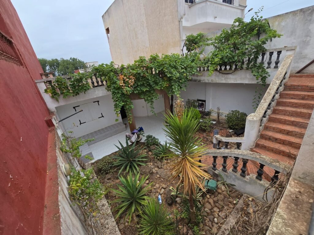 WhatsApp Image 2025-09-22 at 00.18.08 (1)