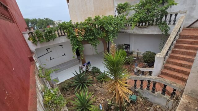 WhatsApp Image 2025-09-22 at 00.18.08 (1)